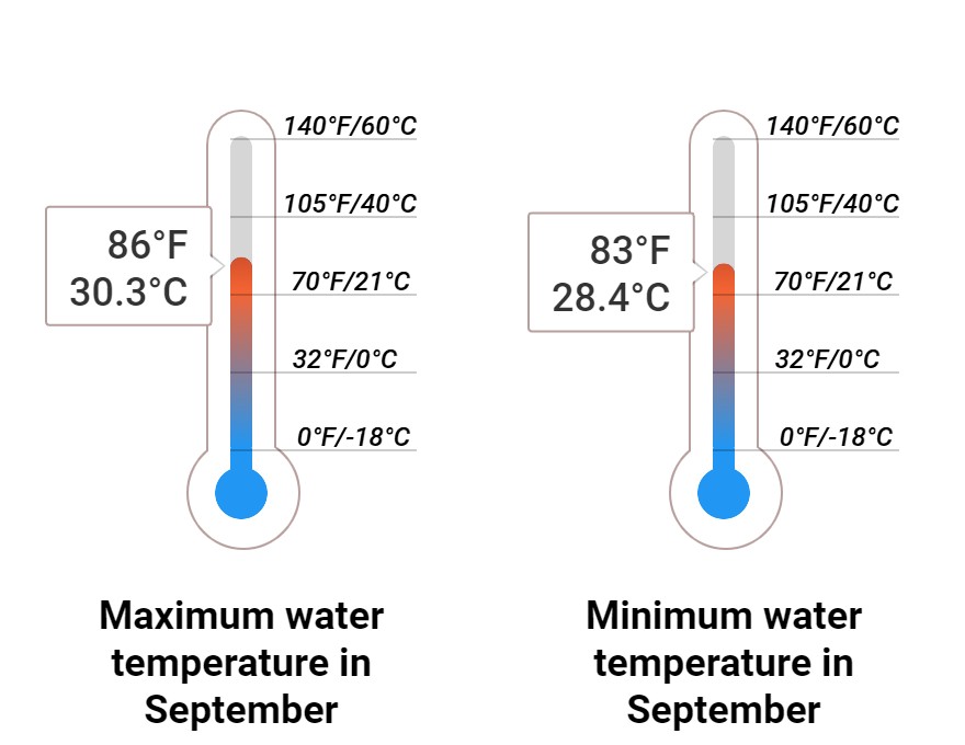 Average Sea temperature